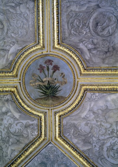 Floral ceiling decoration, from the 